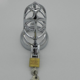 Cage à penis en acier