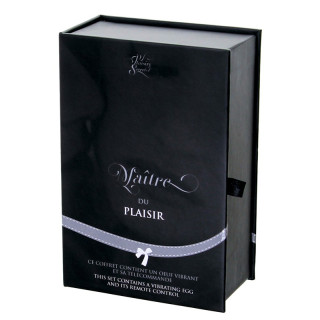 Oeuf vibrant noir - Maître du plaisir