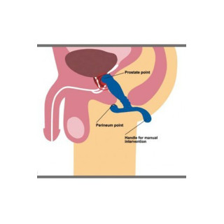 Glide pourpre - Stimulateur de prostate Nexus