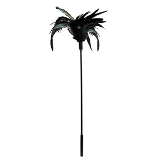 Plumeau noir
