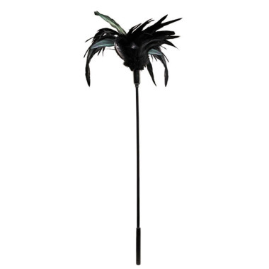 Plumeau noir
